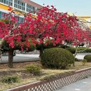 새롬상회 이미지