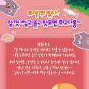 닥터캣 고양이병원 이미지