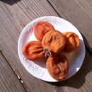 남수농장 이미지