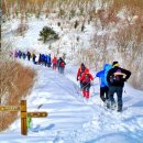 &#34;대관령보다 오래된 역사&#34;... 해발 1157m, 일출까지 보는 역대급 설경 명소 이미지