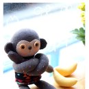 애플몽키