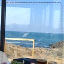 그곳애월 이미지