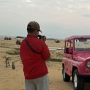 파파야 | 나트랑 투어 추천 산티아고 투어 판랑사막 선라이즈 투어 강추 후기 (+파파야 스파 마사지)