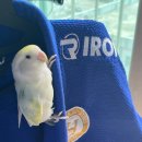 H유도멀티짐 이미지