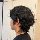 프링헤어 이미지