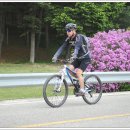 낭만자전거 이미지