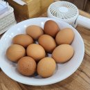 본가김밥국수 | 창원 봉곡동 24시 식당 국수 김밥 본가촌국수 추천