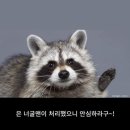 올바른 움직임 연구소 이미지