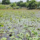 이상근농장 이미지