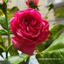 미래직업기술학원 수강후기(조경기능사실기_울산)