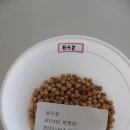 씨드림 이미지