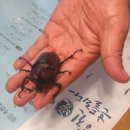 숙이네민박 이미지