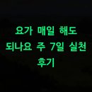 (주)7일 | 요가 매일 해도 되나요 주 7일 실천 후기