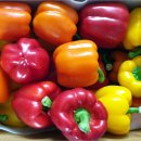 한초농장 이미지