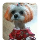 이쁜이PC 이미지