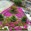 선학농장 이미지