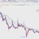 세진메디 이미지