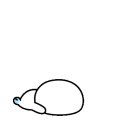 아니 공차 청귤스파클링티 혹시 나몰래 단종됐음? 이미지