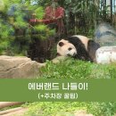 유)한산세라믹 | 루체드의 용인 에버랜드 나들이 (+주차장 꿀팁)