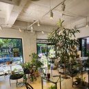 청담이룸의원 | 청담동 소아과 영유아검진받고 왔어요~^^ 후기 + 식물카페 일상 리뷰