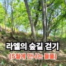 더드림팜 이미지