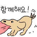 논산애견 이미지