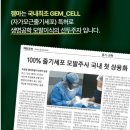 젬마헤어라인 | “비절개 모발이식 99만원! 20년 전 가격 그대로, 지금이 기회!” 무료상담 받기