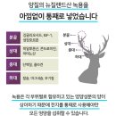 크린다모아 | 전병태 녹용스틱 효능 가격 부작용, 많이 찾는 이유는?