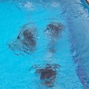 주식회사 한국교육여행사 이미지