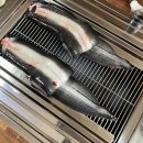 솔토장어 이미지