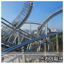 포항 스카이워크 여행기