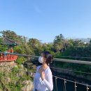 용마청과 | 3일 여행기록 "1일차 "🛫 _ 제주시/제주공항근처여행/팔레스호텔/용두암/호호청과/데일리오아시스/동문시장