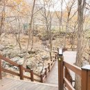 대운산자연휴양림 이미지