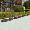 자양꽃직매장 이미지