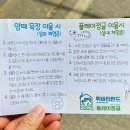 휘바핀란드위드플레이정글