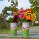 고달 | 페렐로 고달 올리브 대용량 후기｜1440g 캔으로 사면 왜 만족도가 높은지 알겠어요