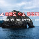 울릉도PC | 울릉도 숙소 어디가 좋아요?🌊 현지인이 추천하는 가성비 숙소 총정리