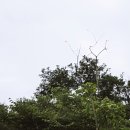 개인생활 이미지