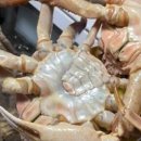 뚱보수산 이미지