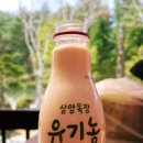 신호목장 이미지