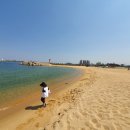 청호동 신수로 | 속초 여행코스 '아바이마을' 갯배를 타본 솔직후기!