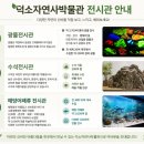 도심초등학교 | 아이랑 남양주 공룡박물관, 덕소자연사박물관 가성비 가볼만한 곳으로 추천! 동물 먹이주기체험, 상어까지!