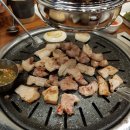 못난이돼지 이미지