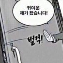 사우스포레스트