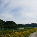 대티강변로 이미지