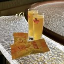 잔교하우스 | 칭다오 맥주 박물관 솔직후기｜입장료 반값 꿀팁부터 맥주 원액 시음까지🍺 (이건 무조건 가라)