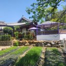 모산고인돌한옥민박 이미지