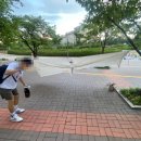 강훈농장 | &lt;24년 8월 결산&gt; - 4-2 뭐 별거 있나..！