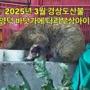 머리자랑 - 여주시 | 머리자랑