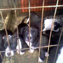 영민농장2 이미지